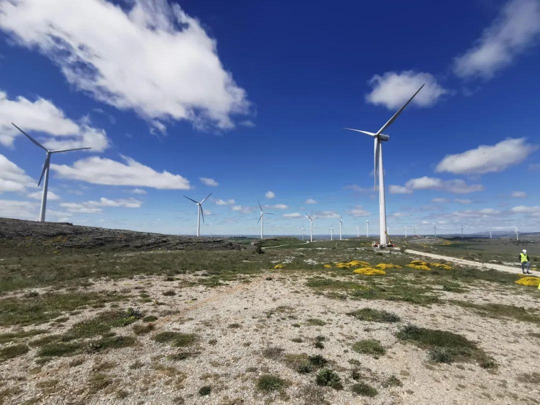 西班牙Horus項目